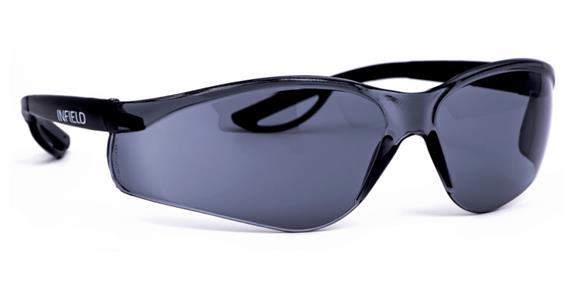 Schutzbrille Raptor Schwarz Scheibe grau